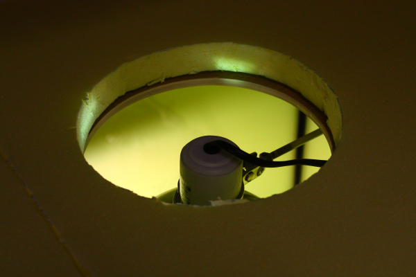 IMG_8716.JPG