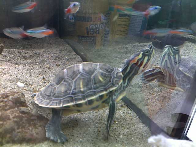 28032011176.jpg