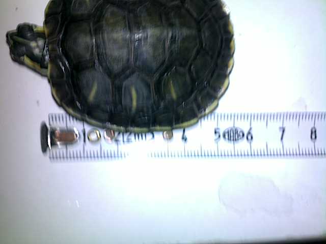 28022011173.jpg
