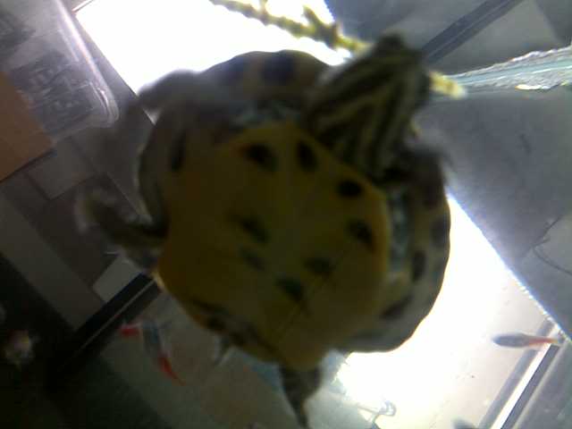 29032011184.jpg