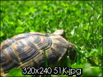 img0365u.th.jpg
