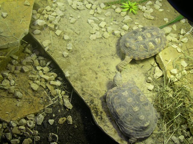 DSCN0760.JPG