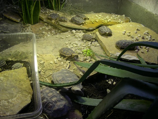 DSCN0767.JPG