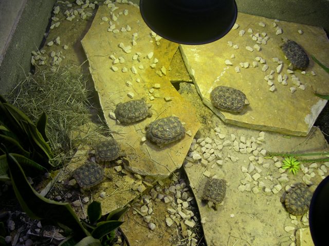 DSCN0769.JPG