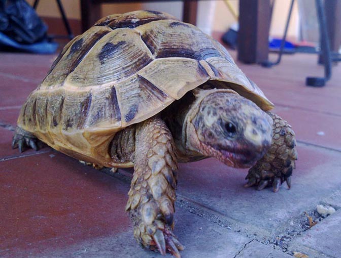 030620112427 copia.jpg