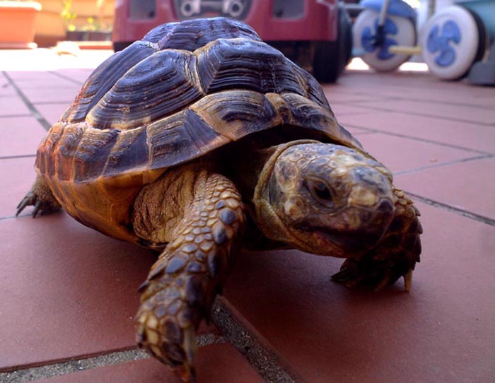 030620112437 copia.jpg