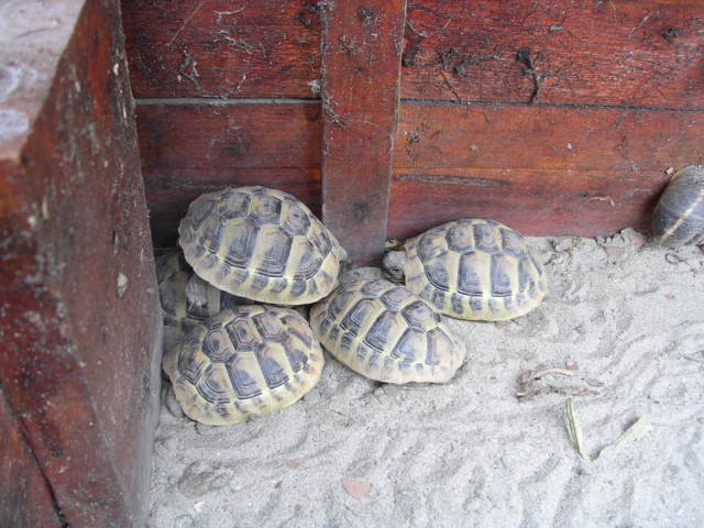 DSCN2115.JPG