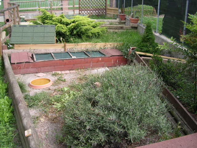 DSCN2117.JPG