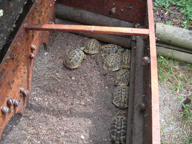 DSCN2118.JPG