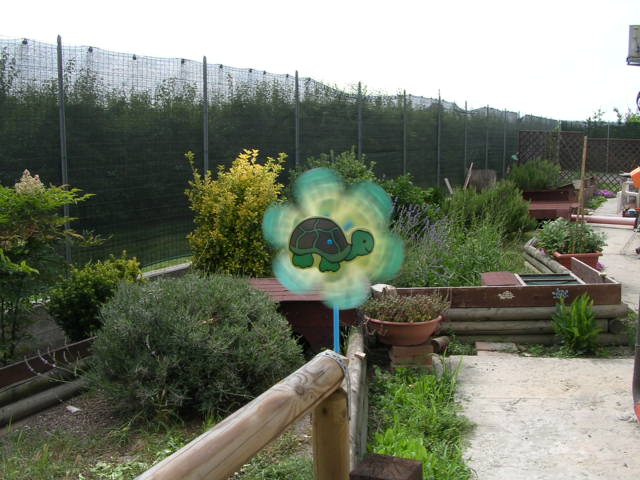 DSCN2120.JPG