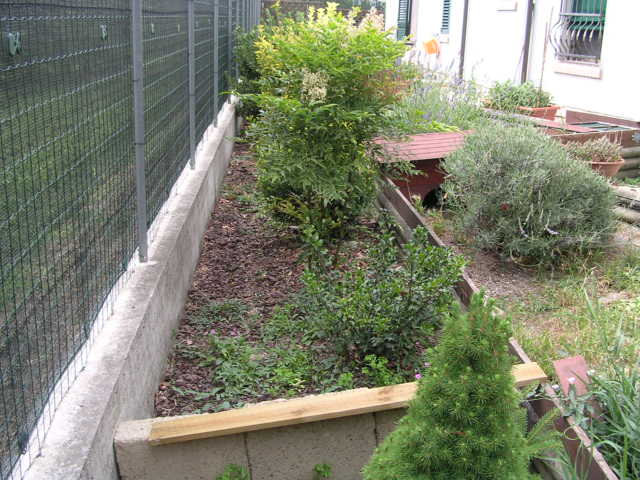 DSCN2121.JPG