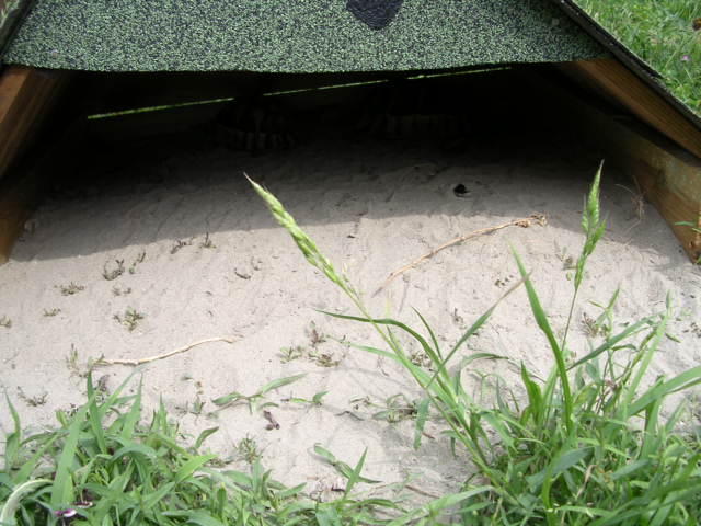 DSCN2122.JPG