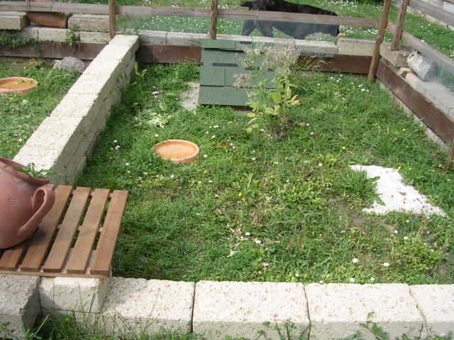 DSCN2123.JPG