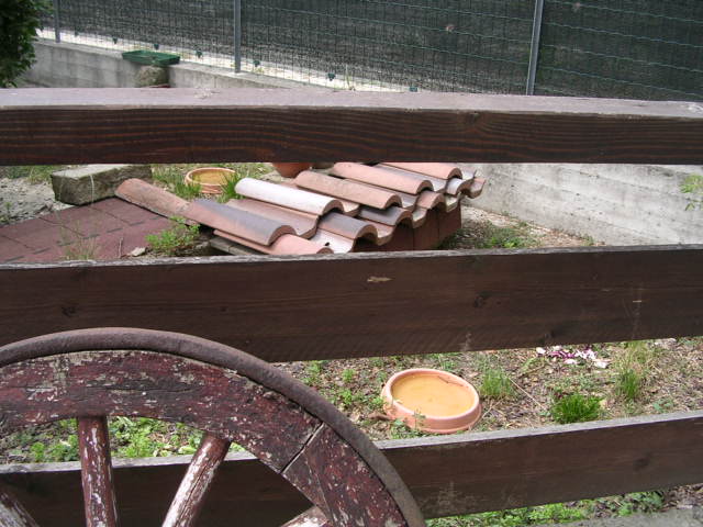 DSCN2124.JPG