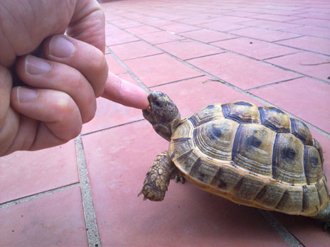 080620112464 copia2.jpg