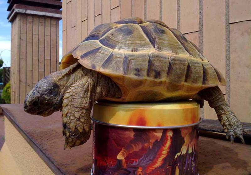 120820112864 copia.jpg