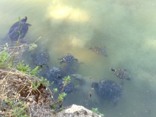 18082011233.jpg