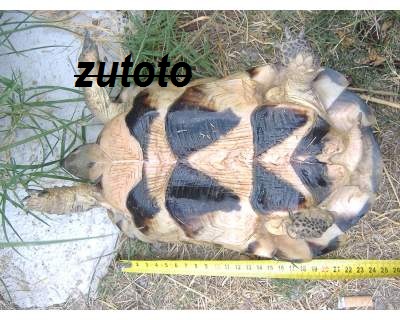 ridimensionate (3).jpg