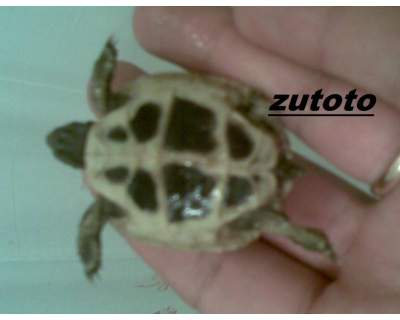 ridimensionate (2).jpg