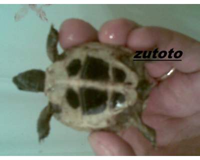 ridimensionate (6).jpg