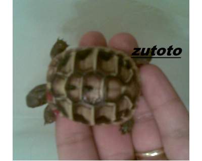 ridimensionate (4).jpg