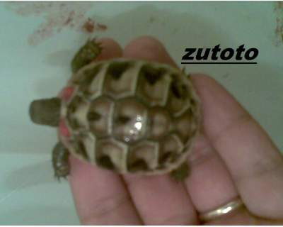 ridimensionate (5).jpg