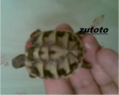 ridimensionate (7).jpg